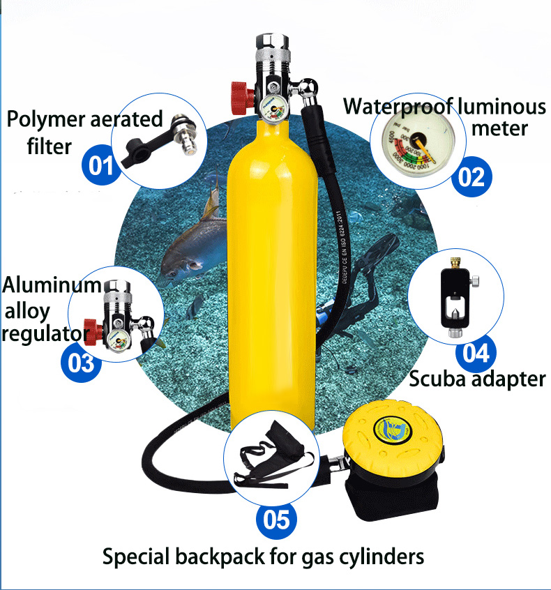 Oxygen Cylinder Dive scuba Por - Diving Mask recension och pris